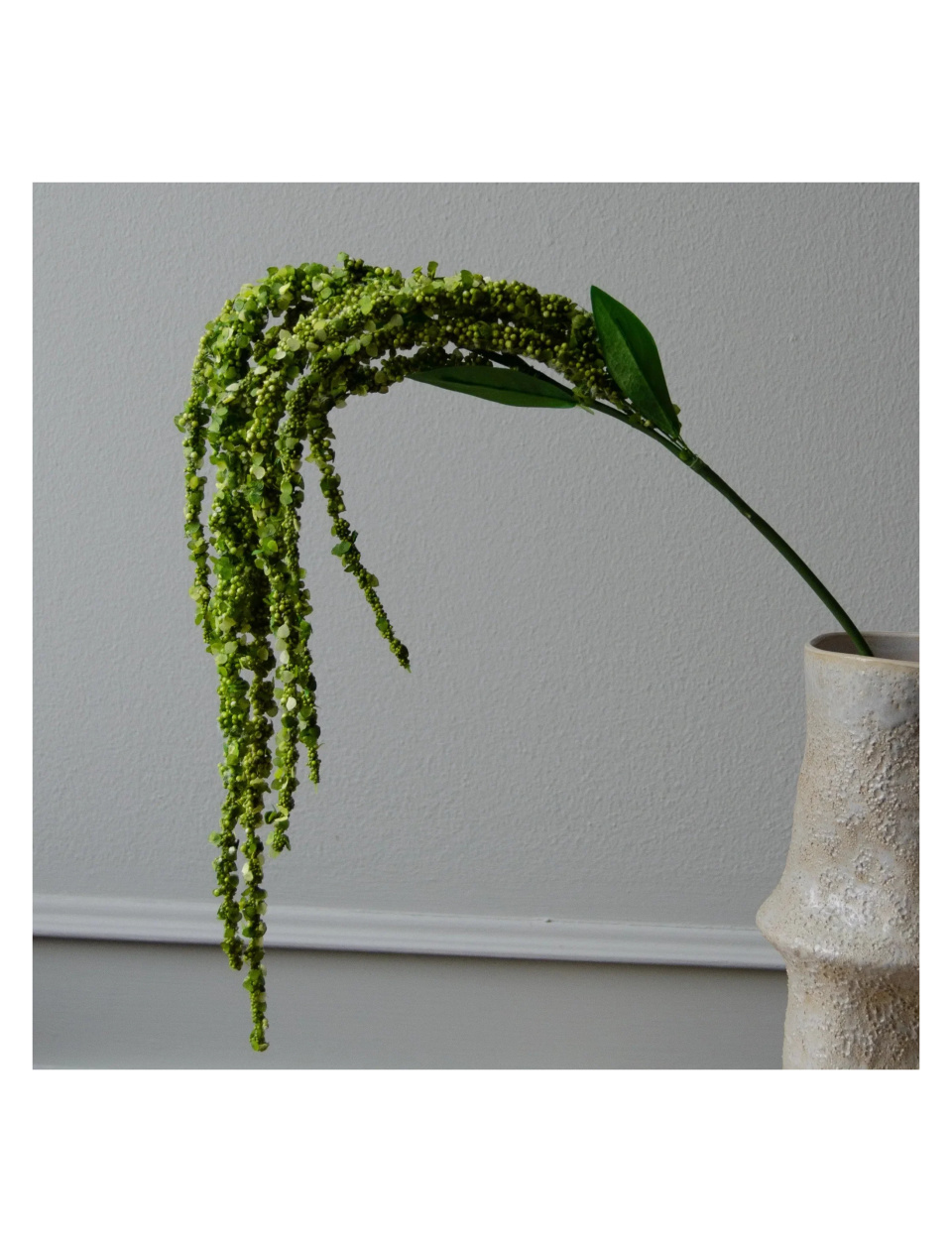 Amaranthus gren Grøn Botane - Image 2