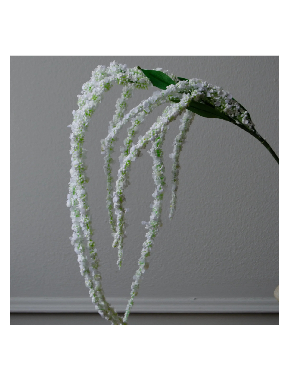 Amaranthus gren Hvid Botane - Image 2