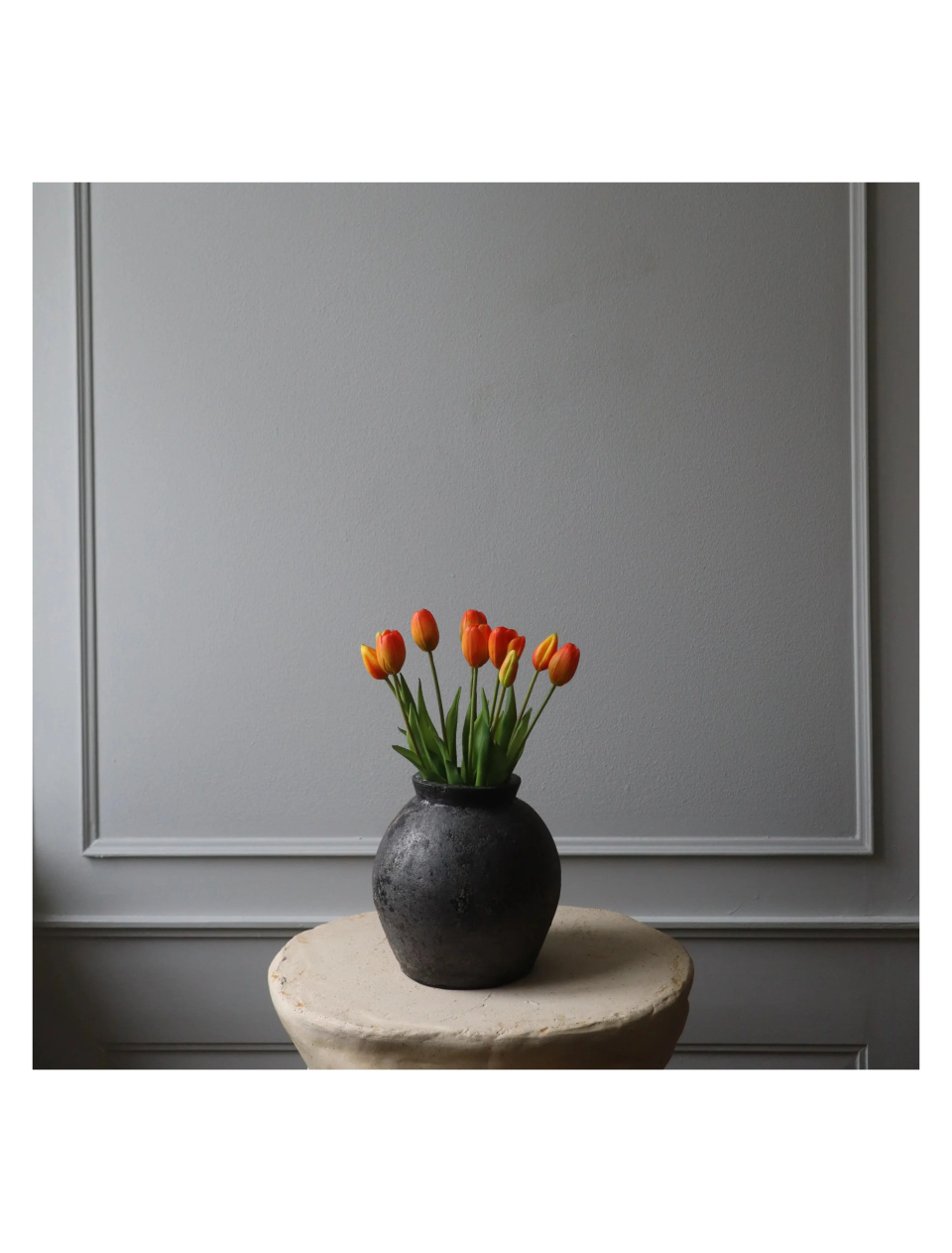 Tulipan Orange Botane