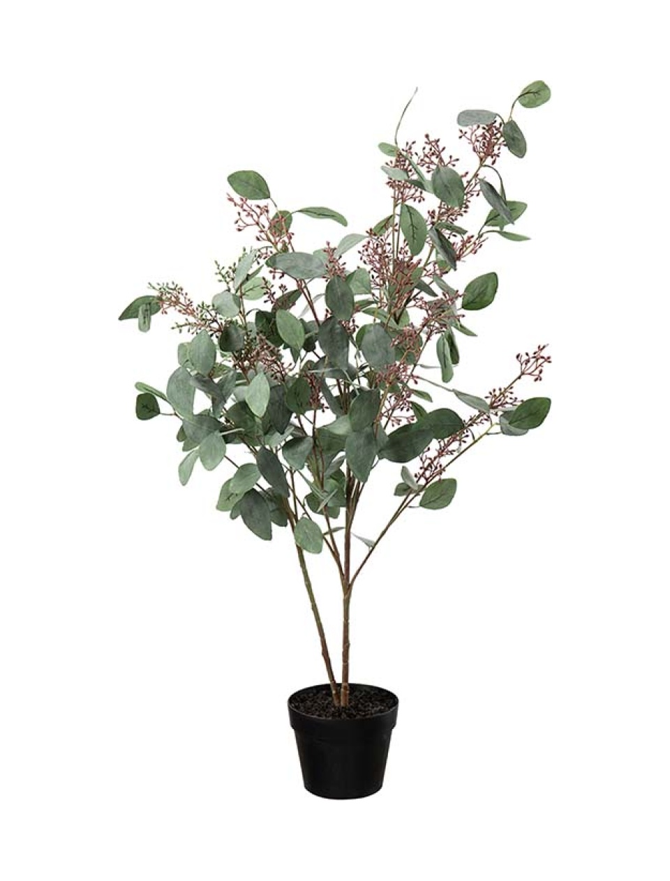 Eucalyptus m/blomster 110cm.